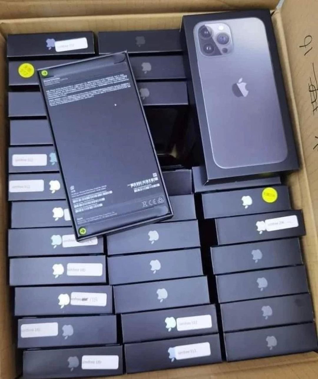 iPhone 13 pro max