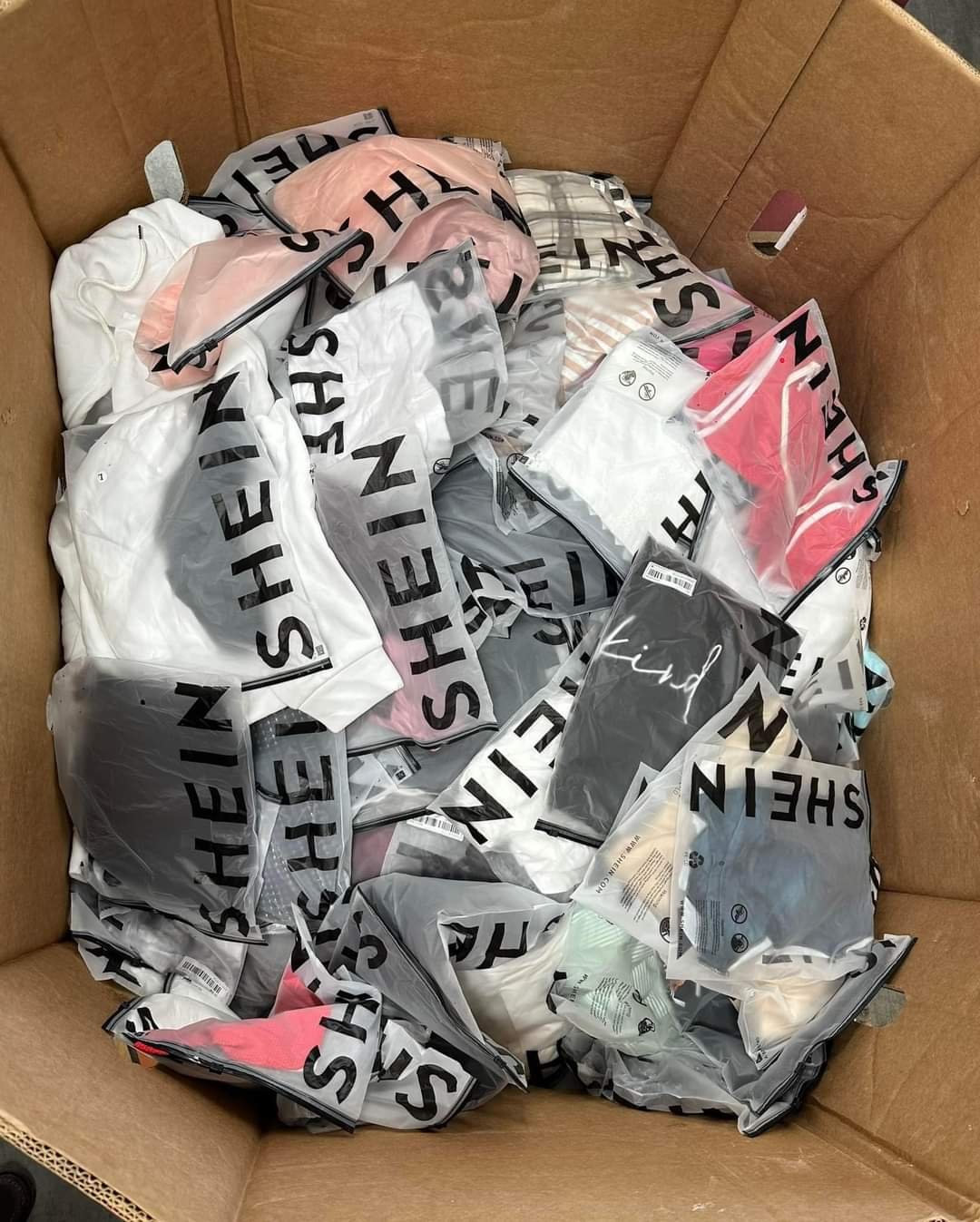 Clothes pallets - Image 6